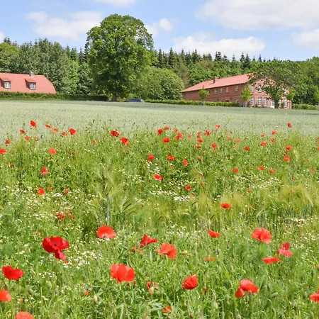 Gut Immenhof - 3 *
